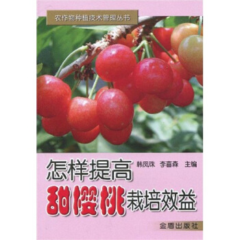 ����������������Ч��